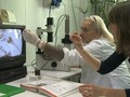Kadr z filmu pt. „Laboratoria. Na straży jakości wody” – Pani Zofia Franaszek na monitorze komputera pokazuje zwierzęta, które „pracują” w oczyszczalni ścieków
